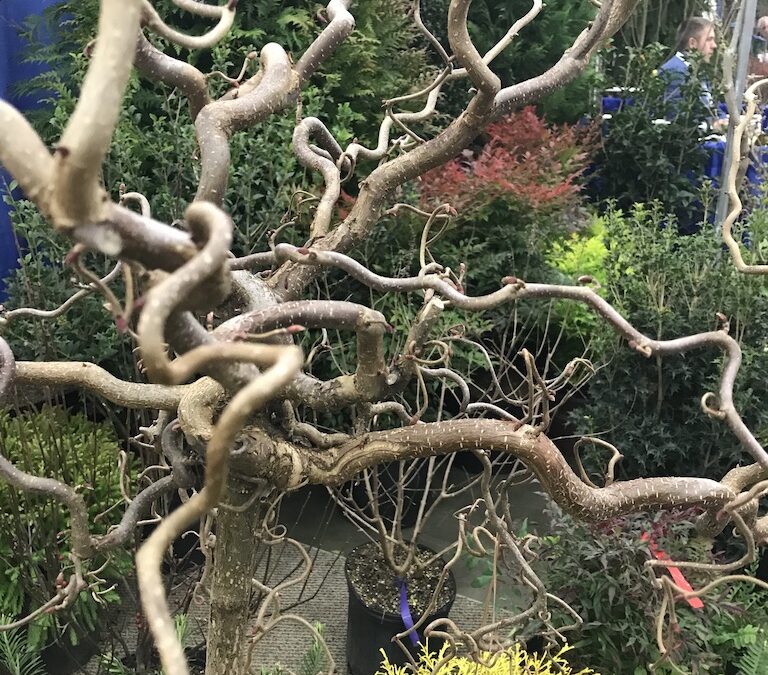 A Newbie’s Guide to the Mid-Atlantic Nursery Trade Show