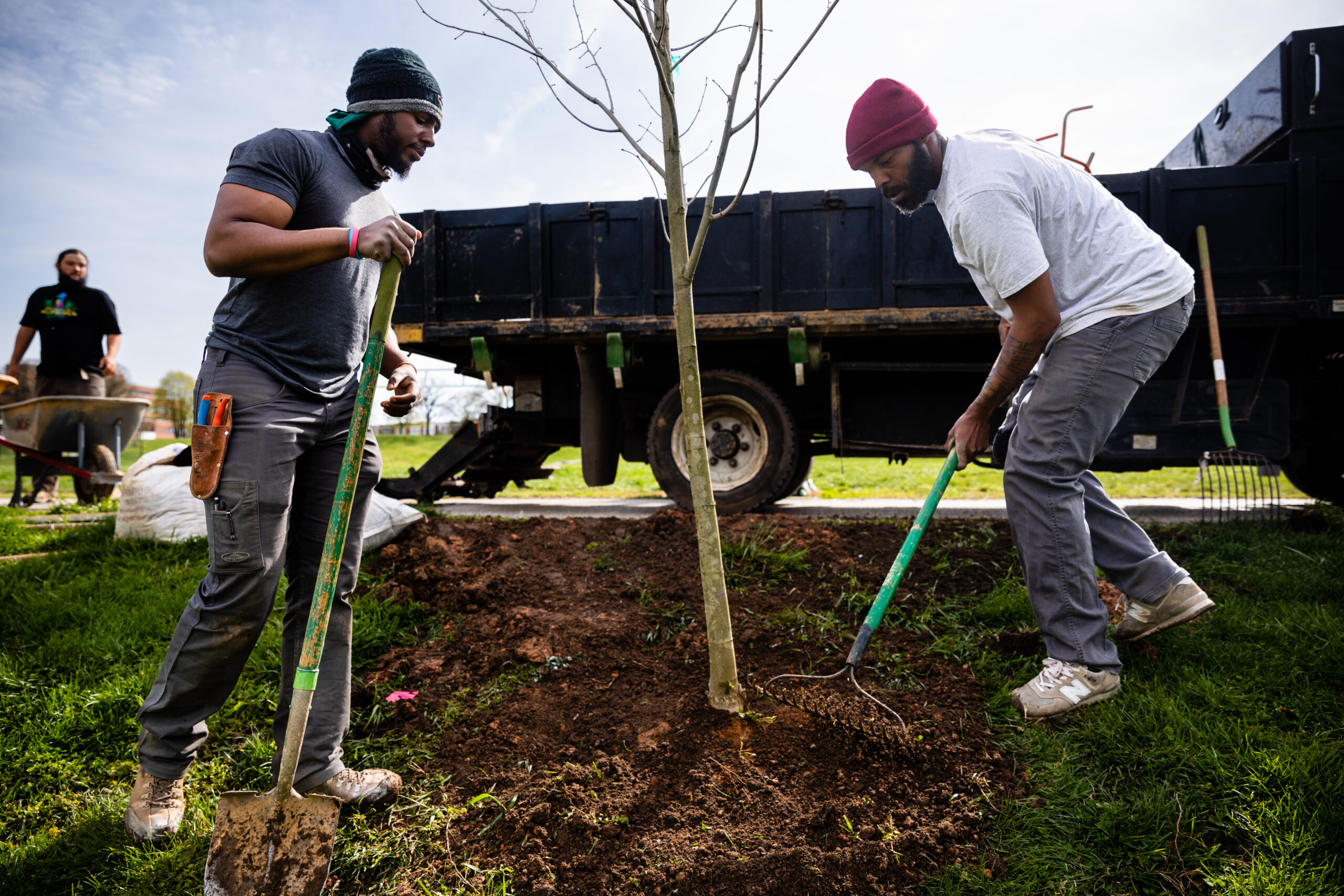 Baltimore Tree Trust in Baltimore Maryland Two men are planting a tree next to a truck. One uses a shovel, while the other rakes the soil. The scene conveys teamwork and environmental care.