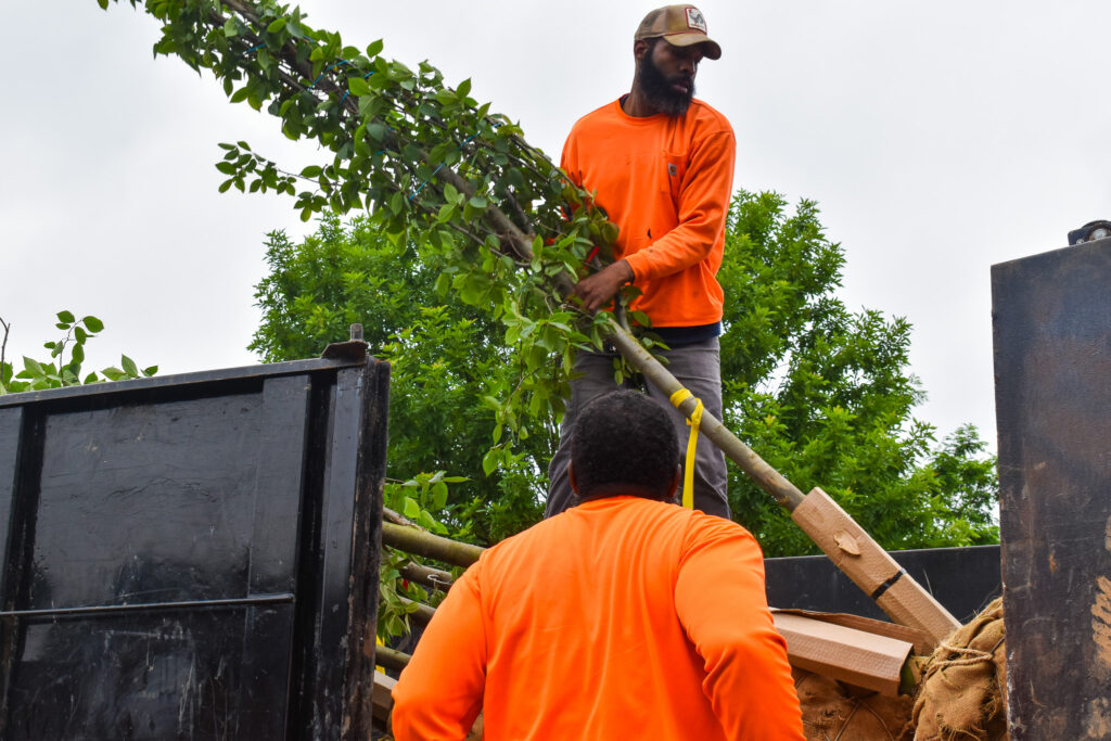 Two workers in orange shirts are handling a leafy tree on a truck, surrounded by greenery. The scene conveys teamwork and focus.