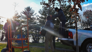 BaltimoreTreeTrust Donate Two workers are unloading equipment from the back of a white pickup truck in a park setting. One person is lifting or handling gear while another assists. An orange wheeled cart or dolly sits nearby on the grass. Bright sunlight filters through trees with autumn foliage, creating dramatic lighting and lens flare effects.